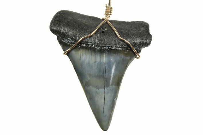 Fossil Broad-Toothed Mako Tooth Necklace - South Carolina #240683